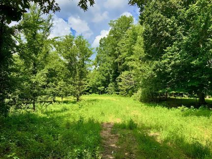 Hunting Property for sale in Henry County, Tennessee