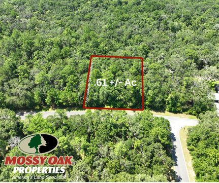 Recreational Property for sale in Camden County, Georgia