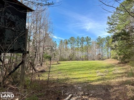 Horse Property for sale in Clarke County, Alabama