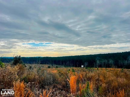 Land for sale in Dale County, Alabama