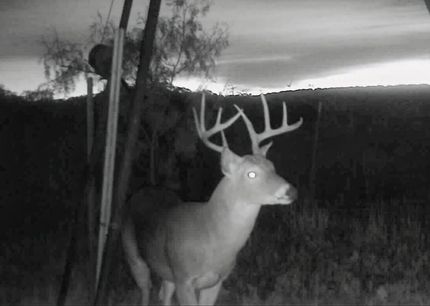 House for sale in Nolan County, Texas