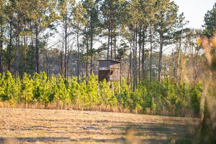 Timberland Property for sale in Dodge County, Georgia