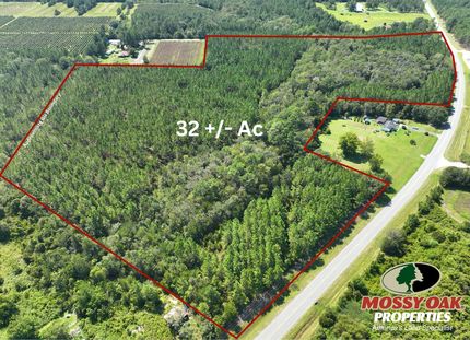 Undeveloped Land in Pierce County, Georgia