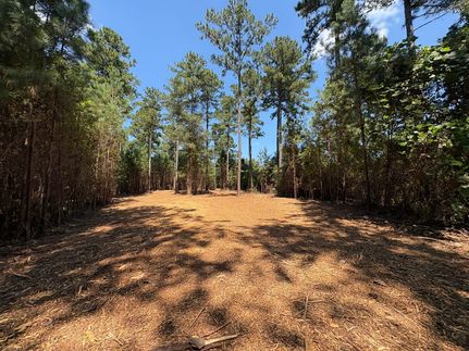 Homesite for sale in Monroe County, Georgia