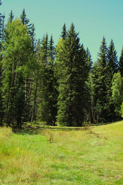 Recreational Property for sale in Teller County, Colorado