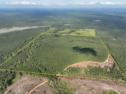 Timberland Property for sale in Natchitoches Parish, Louisiana