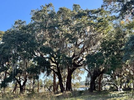 Land for sale in Beaufort County, South Carolina