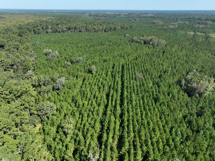 Undeveloped Land for sale in Camden County, Georgia