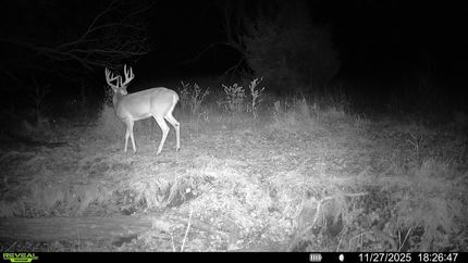 Farm and Ranch for sale in Pawnee County, Kansas