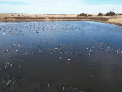 Farm and Ranch for sale in Barton County, Kansas