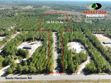 Land for sale in Brantley County, Georgia