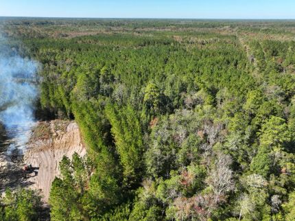 Farm and Ranch for sale in Brantley County, Georgia