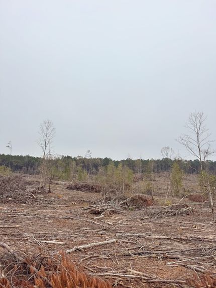 Recreational Property for sale in Ouachita County, Arkansas