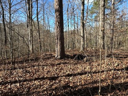 Land for sale in Polk County, Georgia