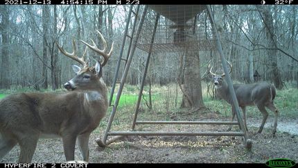 Farm and Ranch for sale in Avoyelles Parish, Louisiana