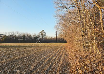 Lakefront Property for sale in Dorchester County, Maryland