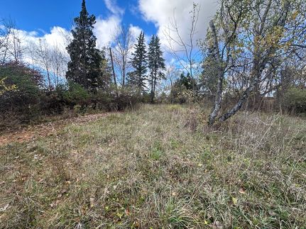 Land for sale in Sanilac County, Michigan