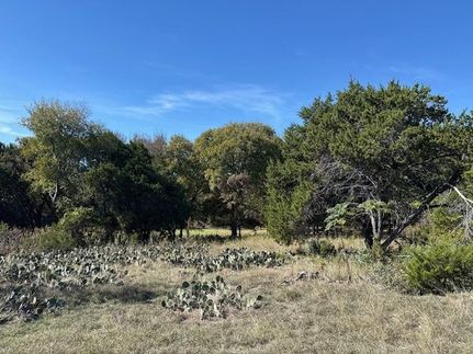 Homesite for sale in Hill County, Texas