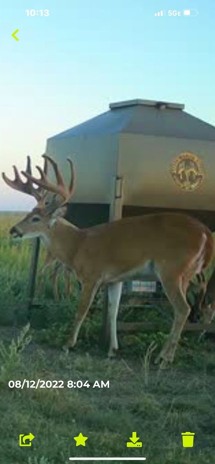 Land for sale in Kiowa County, Kansas