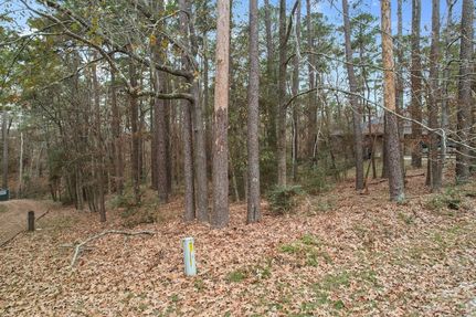 Land for sale in San Jacinto County, Texas