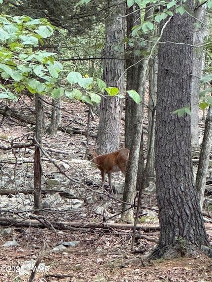 Undeveloped Land for sale in Pike County, Pennsylvania