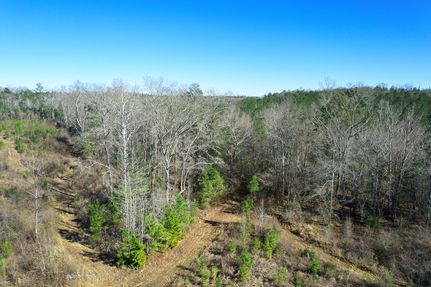 Hunting Property for sale in Clarke County, Alabama