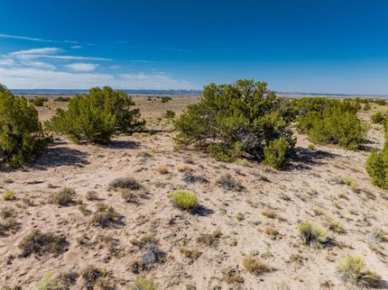 Undeveloped Land for sale in Apache County, Arizona