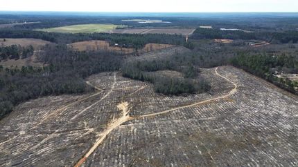 Land for sale in Lexington County, South Carolina