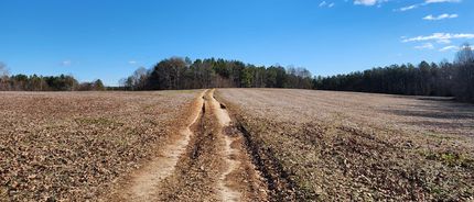 Land for sale in Charlotte County, Virginia