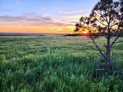 Hunting Property for sale in Washington County, Colorado