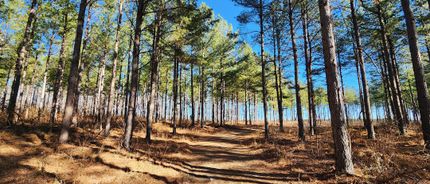 Land for sale in Charlotte County, Virginia