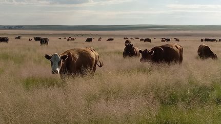 Land for sale in Lincoln County, Colorado