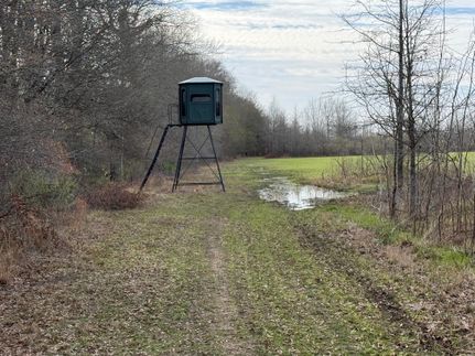 Land for sale in Franklin Parish, Louisiana