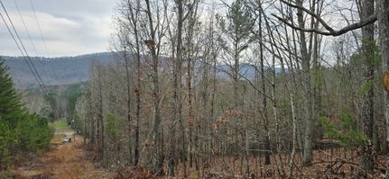Land for sale in Chattooga County, Georgia