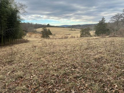 Hunting Property for sale in Wilkes County, North Carolina