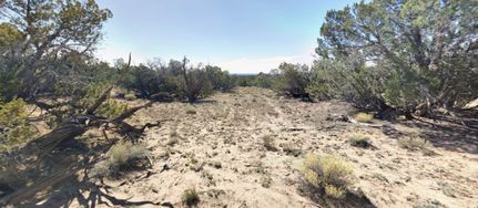 Undeveloped Land for sale in Apache County, Arizona