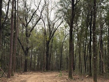 Land for sale in Mobile County, Alabama