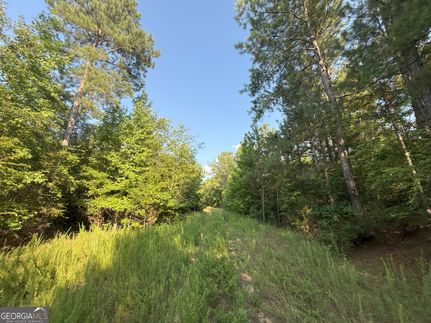 Timberland Property for sale in Elbert County, Georgia