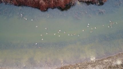 Farm and Ranch for sale in Cross County, Arkansas