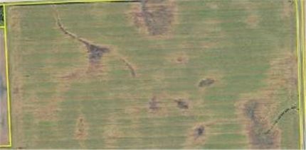 Undeveloped Land for sale in Stevens County, Minnesota