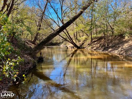 Land for sale in Choctaw County, Alabama