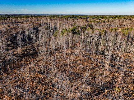 Timberland Property for sale in Prentiss County, Mississippi