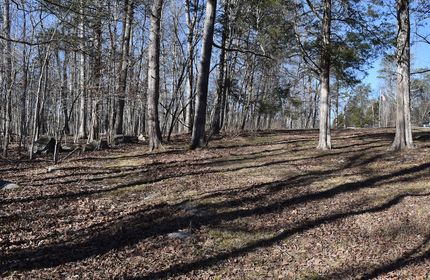 Timberland Property for sale in Pulaski County, Kentucky