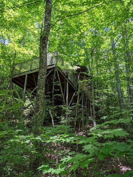 Land for sale in Graham County, North Carolina