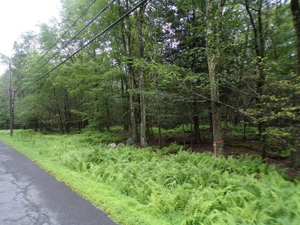 Undeveloped Land for sale in Wayne County, Pennsylvania