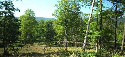 Horse Property for sale in Bayfield County, Wisconsin