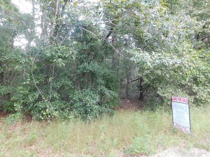 Homesite for sale in Tattnall County, Georgia