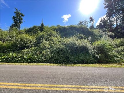 Land for sale in Grays Harbor County, Washington