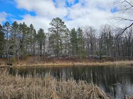 Undeveloped Land for sale in Burnett County, Wisconsin