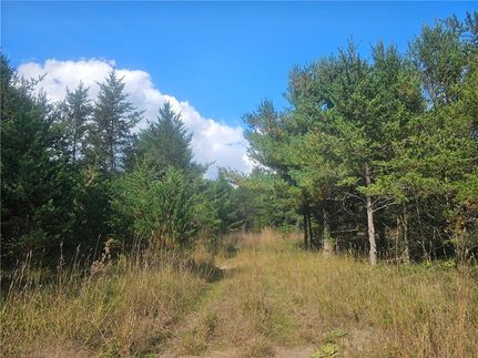 Land for sale in Burnett County, Wisconsin